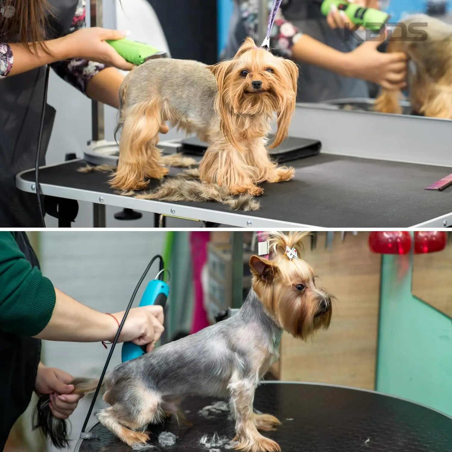 4F,5F,7FC,9#,10#,30#,40#,50# Professional Pet Dog Clipper Blade Fit For Most Andis,Oster A5 ,Wahl KM Clippers Animals Clippers