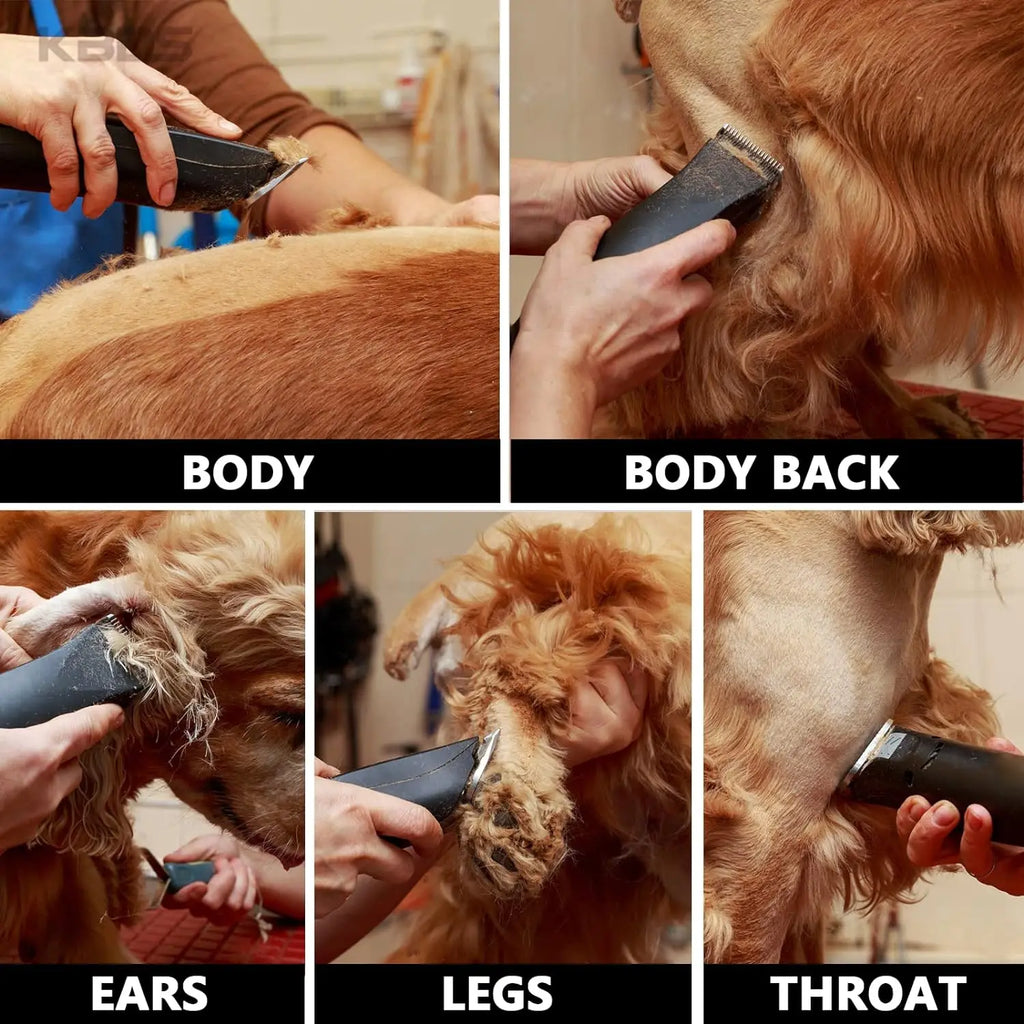 4F,5F,7FC,9#,10#,30#,40#,50# Professional Pet Dog Clipper Blade Fit For Most Andis,Oster A5 ,Wahl KM Clippers Animals Clippers